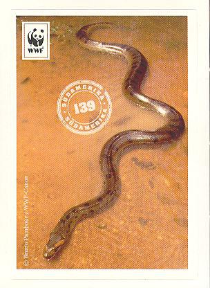 Edeka WWF Reisetagebuch 2012 - Nr. 139