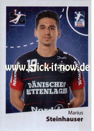 LIQUE MOLY Handball Bundesliga Sticker 19/20 - Nr. 293
