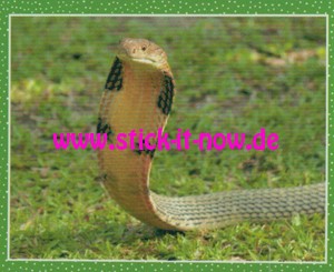 National Geographic Kids "Wilde Tiere" (2019) - Nr. 39