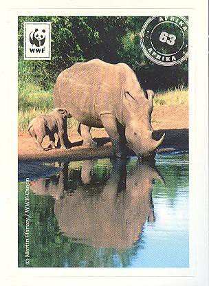 Edeka WWF Reisetagebuch 2012 - Nr. 63