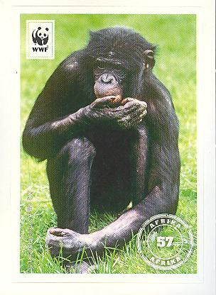 Edeka WWF Reisetagebuch 2012 - Nr. 57