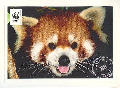 Edeka WWF Reisetagebuch 2012 - Nr. 22