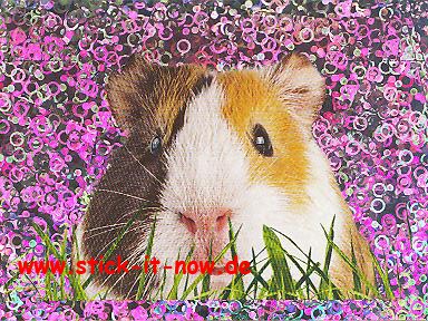 Rewe "Unsere Wunderwelt" (2013) - Nr. 13