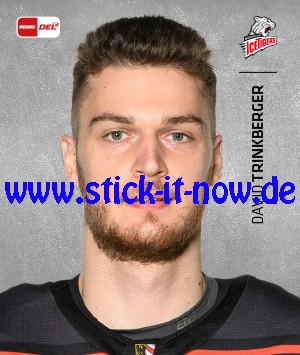 Penny DEL - Deutsche Eishockey Liga 20/21 "Sticker" - Nr. 272