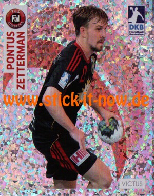 DKB Handball Bundesliga Sticker 17/18 - Nr. 334 (GLITZER)