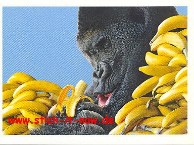 Rewe &quot;Unsere Wunderwelt&quot; (2013) - Nr. 7