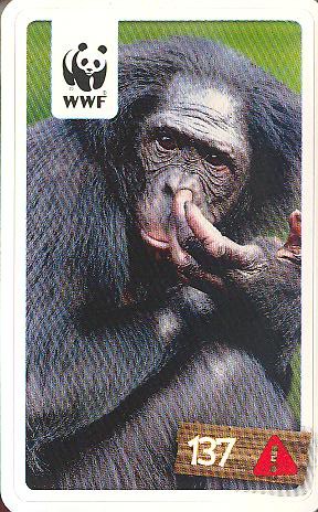 Rewe WWF Tier-Abenteuer 2011 - Nr. 137