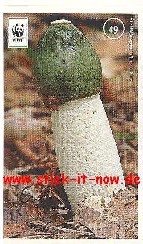 Edeka WWF Unser Wald 2013 - Nr. 49