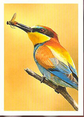 Rewe Unsere Erde ( 2012 ) - Nr. 145