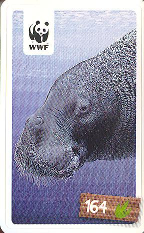 Rewe WWF Tier-Abenteuer 2011 - Nr. 164