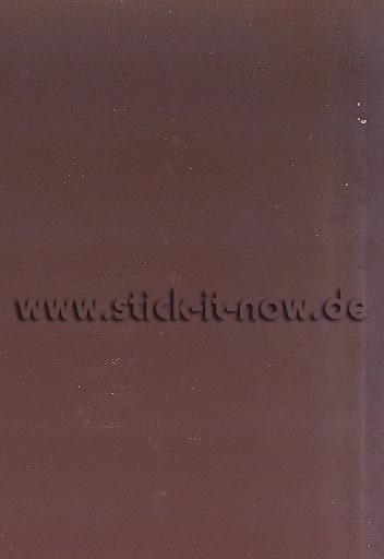 Panini Adrenalyn XL "FIFA 365" (2017) - Nr. 66