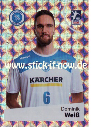 LIQUE MOLY Handball Bundesliga Sticker 19/20 - Nr. 361 (Glitzer)