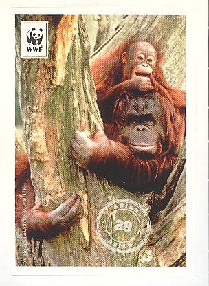 Edeka WWF Reisetagebuch 2012 - Nr. 29