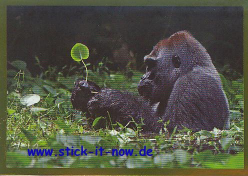 Die Welt in Farbe (2014) - Aldi Süd - Nr. 138