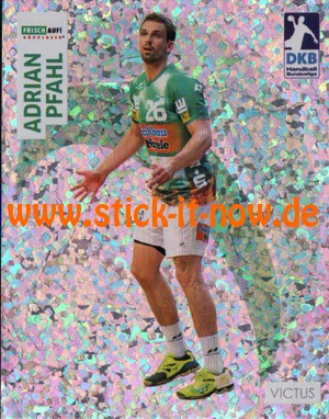 DKB Handball Bundesliga Sticker 17/18 - Nr. 217 (GLITZER)