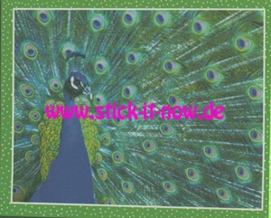 National Geographic Kids "Wilde Tiere" (2019) - Nr. 191