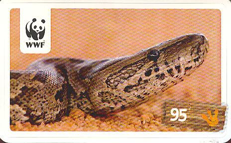 Rewe WWF Tier-Abenteuer 2011 - Nr. 95