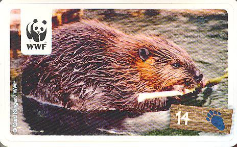 Rewe WWF Tier-Abenteuer 2011 - Nr. 14