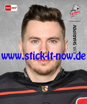 Penny DEL - Deutsche Eishockey Liga 20/21 "Sticker" - Nr. 268