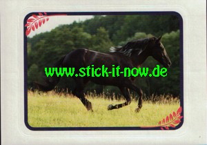 Ostwind "Das große Finale" (2021) - Nr. 89