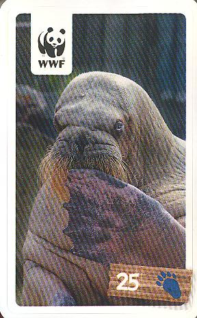 Rewe WWF Tier-Abenteuer 2011 - Nr. 25