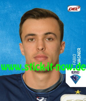 DEL - Deutsche Eishockey Liga 18/19 "Sticker" - Nr. 107