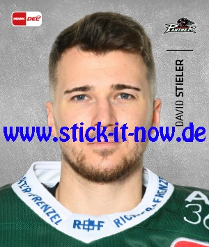 Penny DEL - Deutsche Eishockey Liga 20/21 "Sticker" - Nr. 20