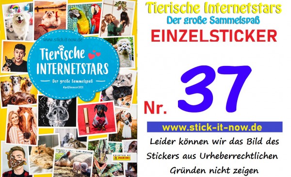 Tierische Internetstars (2021) - Nr. 37