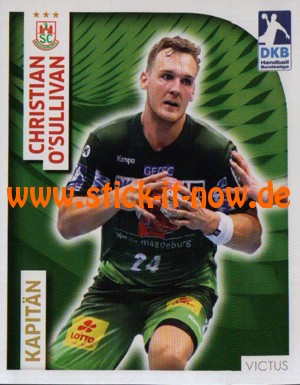 DKB Handball Bundesliga Sticker 17/18 - Nr. 102