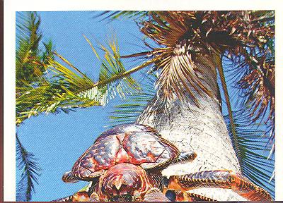 Rewe Unsere Erde ( 2012 ) - Nr. 205