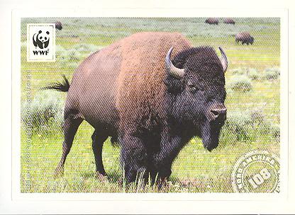 Edeka WWF Reisetagebuch 2012 - Nr. 108