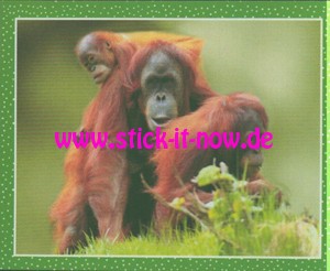 National Geographic Kids "Wilde Tiere" (2019) - Nr. 182