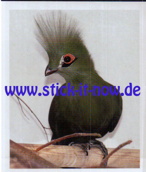 Zoo Osnabrück "Tierische Momente" - Nr. 68