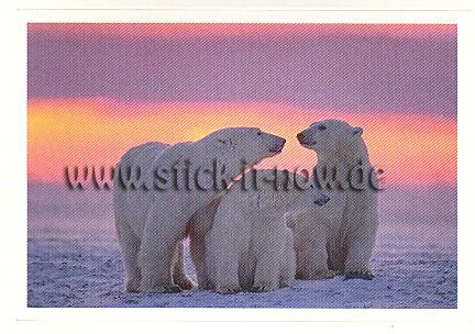 Rewe - Disney & WAS ist WAS - Abenteuer Tierwelt - Nr. 11