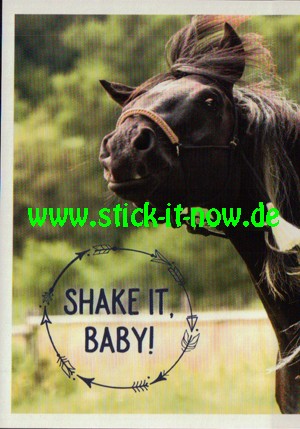 Ostwind "Das große Finale" (2021) - Nr. 155