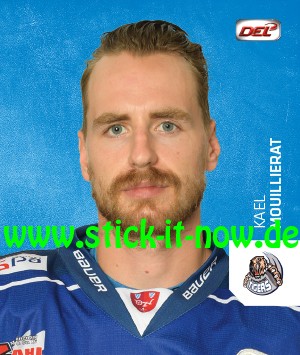 DEL - Deutsche Eishockey Liga 18/19 "Sticker" - Nr. 335