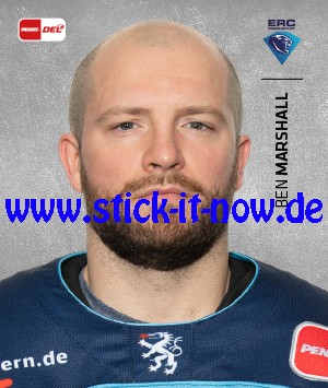 Penny DEL - Deutsche Eishockey Liga 20/21 "Sticker" - Nr. 115