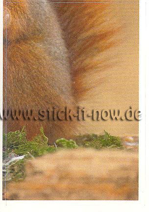 Rewe - Disney & WAS ist WAS - Abenteuer Tierwelt - Nr. 97