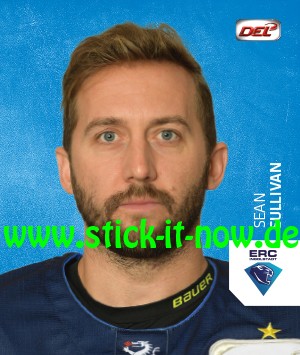 DEL - Deutsche Eishockey Liga 18/19 "Sticker" - Nr. 113
