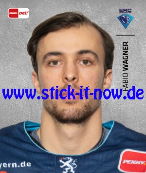 Penny DEL - Deutsche Eishockey Liga 20/21 "Sticker" - Nr. 112