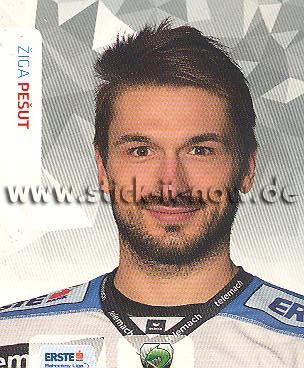 Erste Bank Eishockey Liga Sticker 15/16 - Nr. 306