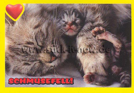 Amici Cucciolotti - Mission Tierfreunde (2015) - Nr. 42