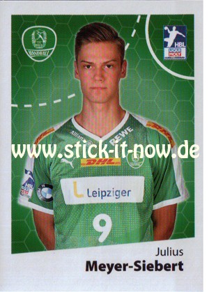 LIQUE MOLY Handball Bundesliga Sticker 19/20 - Nr. 244