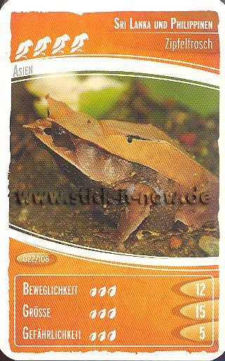 Ozeanien 2 - Wir tauchen auf! - Netto - Nr. 22