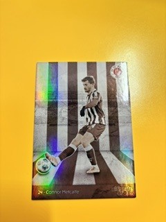 FC St.Pauli "We love St.Pauli" (2026) - Connor Metcalfe