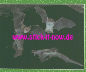 National Geographic Kids "Wilde Tiere" (2019) - Nr. 195