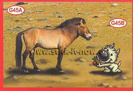 Amici Cucciolotti - Mission Tierfreunde (2015) - Nr. G45