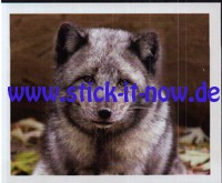 Zoo Osnabrück "Tierische Momente" - Nr. 85