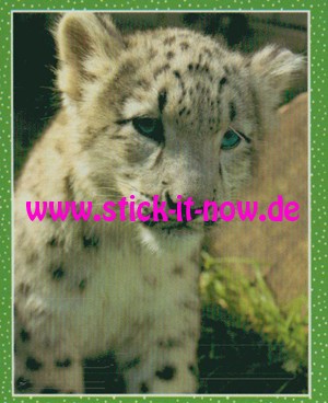 National Geographic Kids "Wilde Tiere" (2019) - Nr. 36