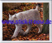 Zoo Osnabrück "Tierische Momente" - Nr. 57